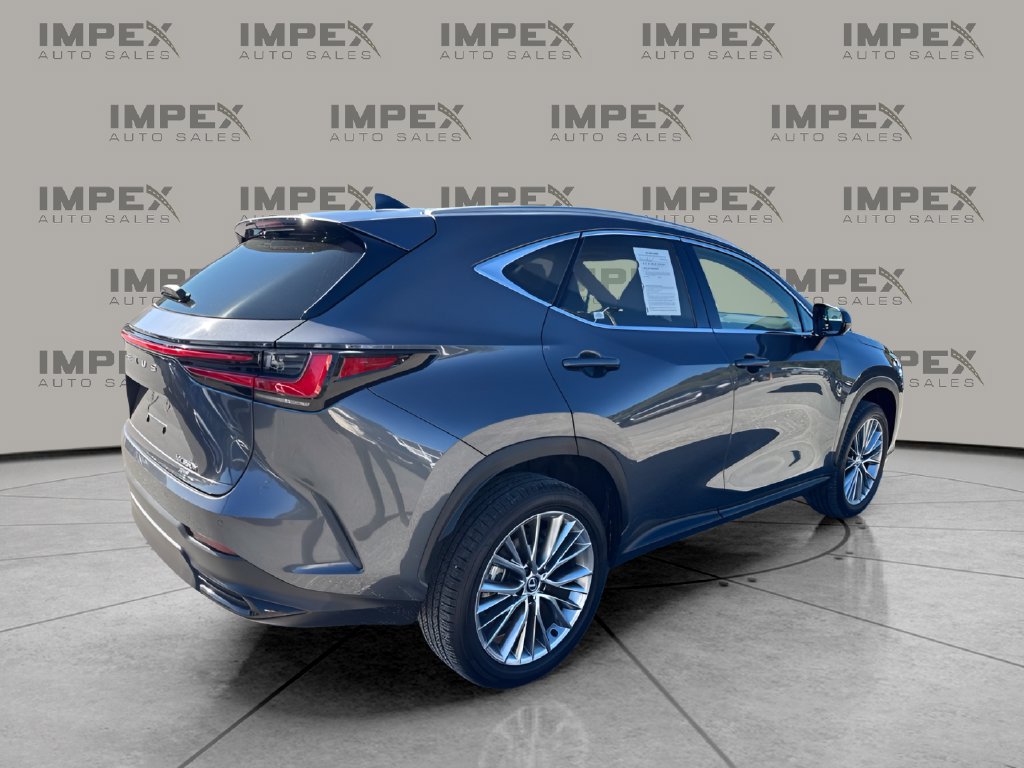 Used 2025 Lexus NX 350h AWD w/ Cold Area Package image 5