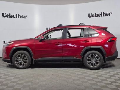 New 2025 Toyota RAV4 XLE Premium w/ Weather Package