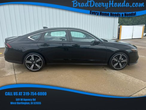 Used 2024 Honda Accord Sport image 1