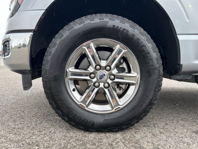 Used 2025 Ford F150 XLT w/ Equipment Group 301A Standard AWD/4WD image 13