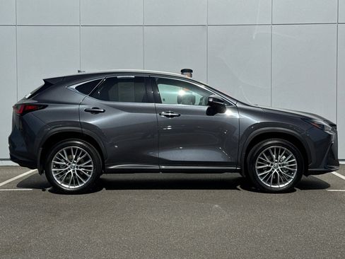 Used 2025 Lexus NX 350 AWD w/ Cold Area Package image 6