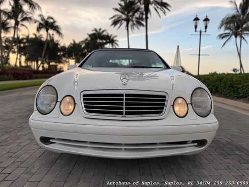 Used 2001 Mercedes-Benz CLK 430 Cabriolet image 14