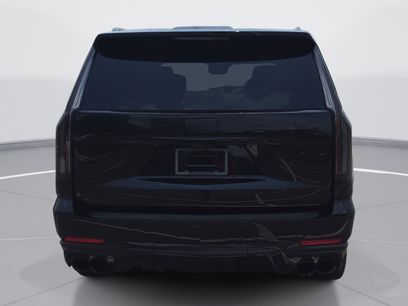 Used 2026 Cadillac Escalade ESV V