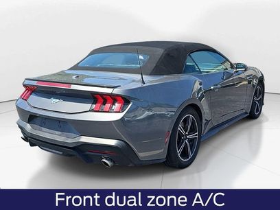 Used 2024 Ford Mustang Premium