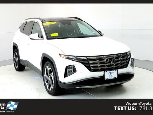 Used 2023 Hyundai Tucson Limited AWD/4WD image 1