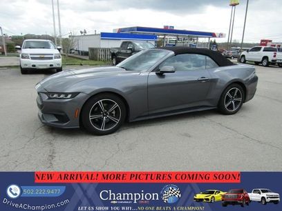 Used 2024 Ford Mustang Premium
