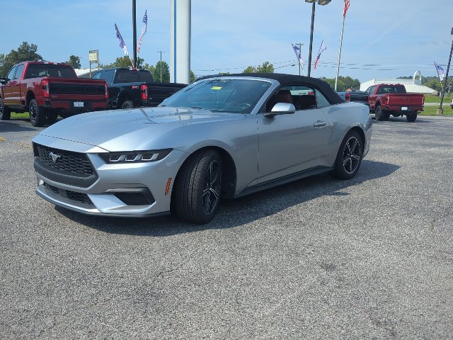 Used 2024 Ford Mustang Premium RWD image 5