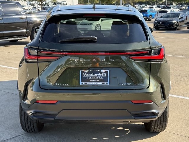 Used 2024 Lexus NX 250 FWD image 5