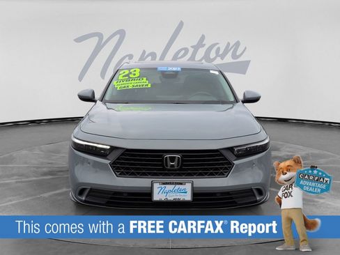 Used 2023 Honda Accord EX-L image 2