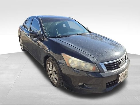 Used 2010 Honda Accord EX-L image 7