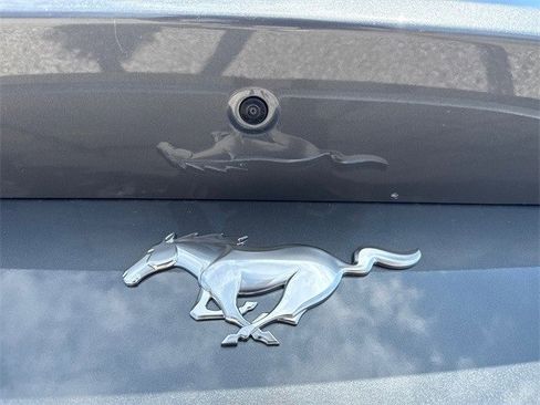 New 2025 Ford Mustang EcoBoost image 19