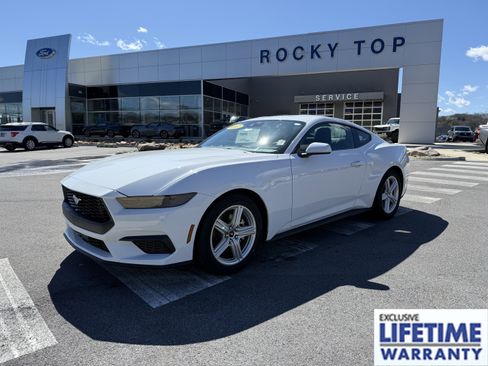 New 2026 Ford Mustang Coupe RWD image 1