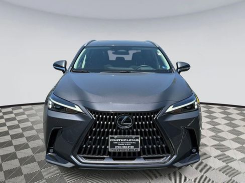 Used 2024 Lexus NX 350h AWD image 6