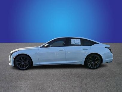 New 2026 Cadillac CT5 Sport