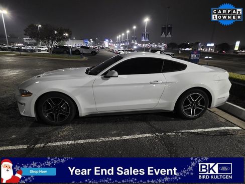 Used 2023 Ford Mustang Coupe w/ Equipment Group 101A image 1