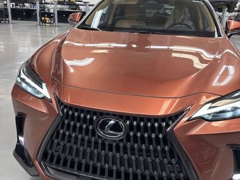 Used 2025 Lexus NX 350h AWD w/ Cold Area Package image 2