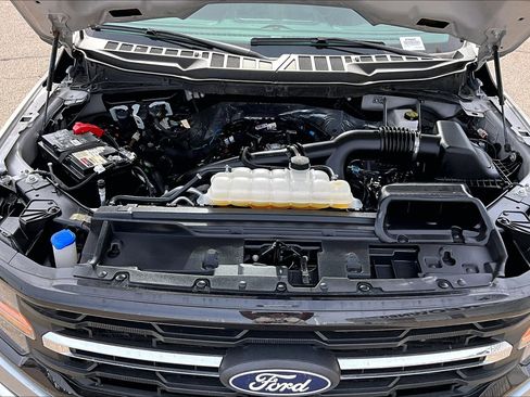 Used 2025 Ford F150 XLT w/ Equipment Group 301A Standard image 31