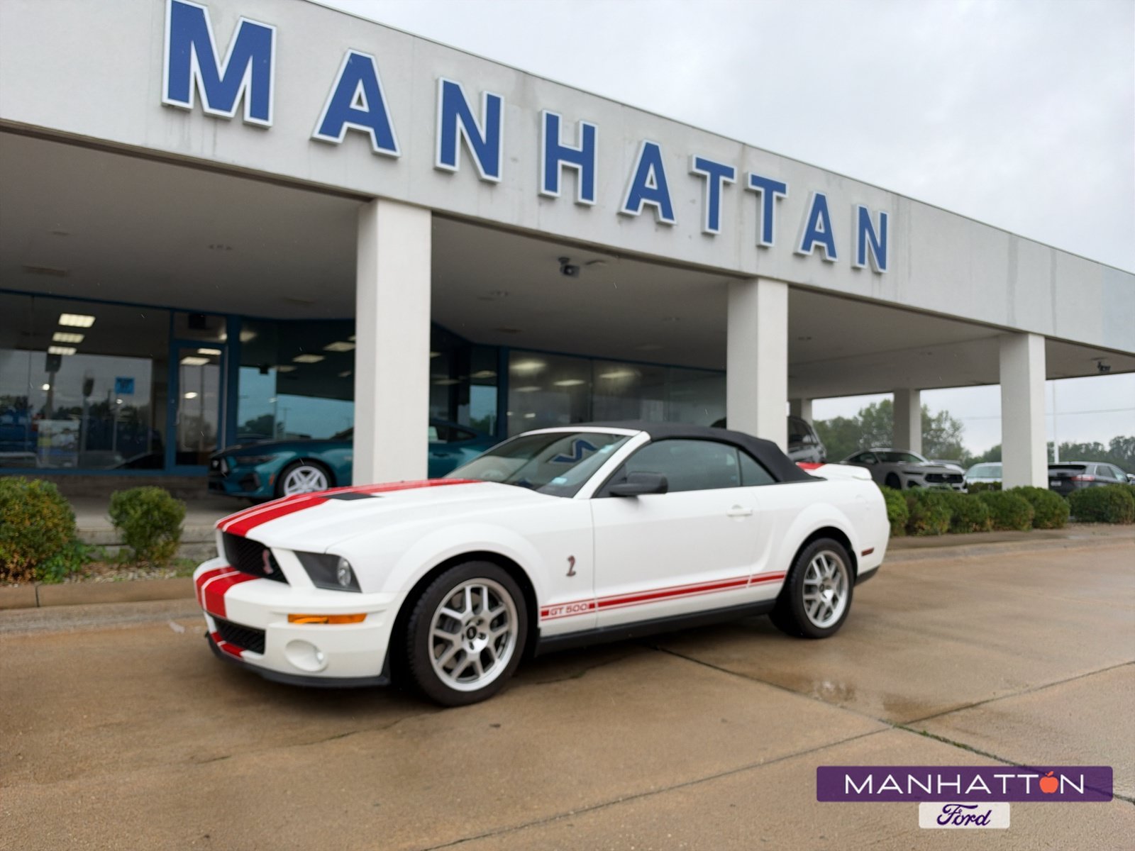 Used 2008 Ford Mustang Shelby GT500 RWD image 1
