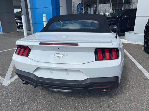 Used 2025 Ford Mustang Premium RWD image 4