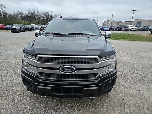 Used 2019 Ford F150 Platinum w/ Equipment Group 701A Luxury image 2