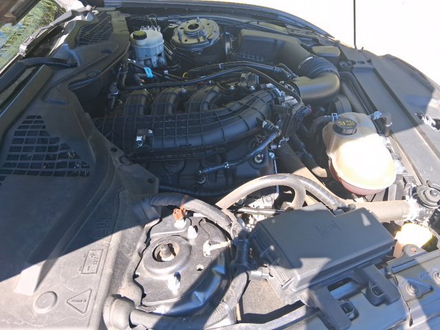 Used 2016 Ford Mustang Coupe w/ Equipment Group 051A RWD image 23