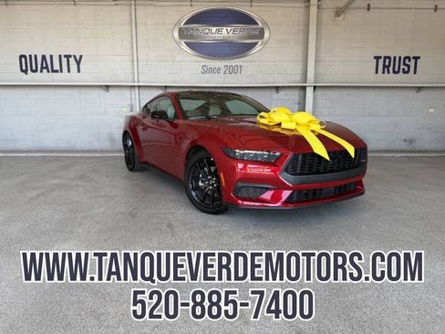Used 2024 Ford Mustang Premium w/ Mustang Nite Pony Package RWD image 1