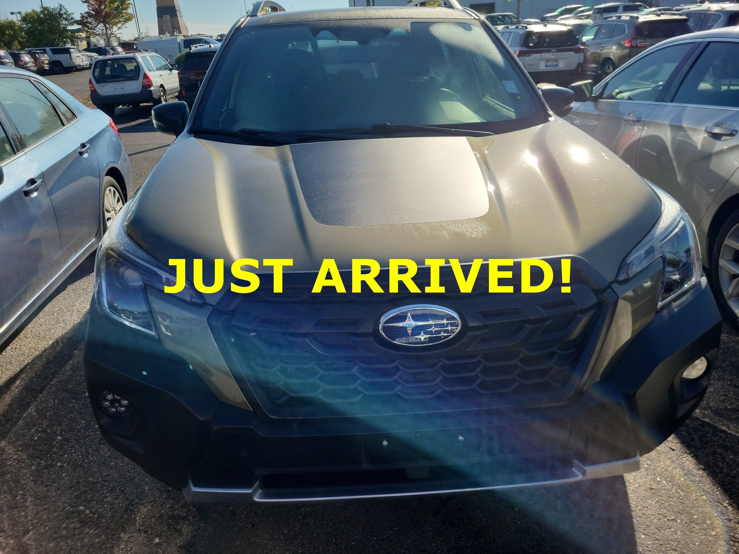 Used 2023 Subaru Forester Wilderness AWD/4WD image 3