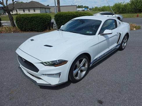 Used 2018 Ford Mustang Premium w/ Equipment Group 201A RWD image 3
