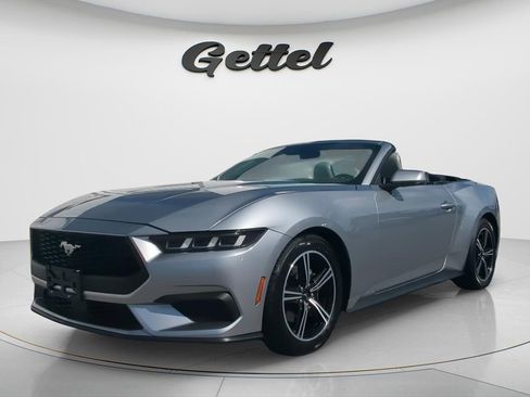 Used 2024 Ford Mustang Premium RWD image 1