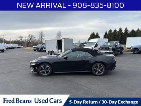 Used 2024 Ford Mustang Premium image 4
