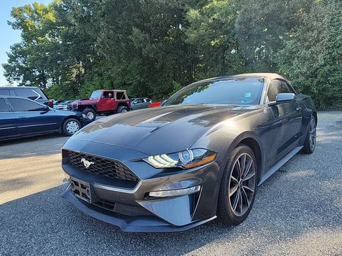 Used 2019 Ford Mustang Premium w/ Equipment Group 201A RWD image 1