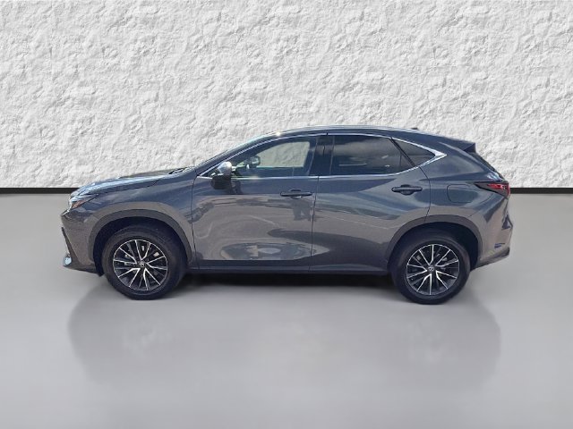 Used 2024 Lexus NX 350 AWD image 6
