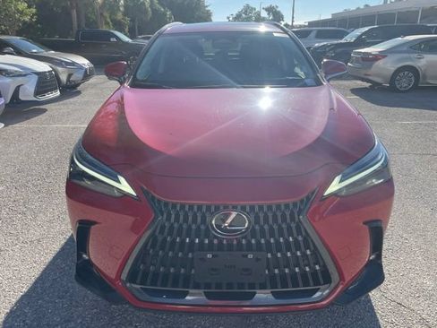 Used 2025 Lexus NX 350 AWD w/ Cold Area Package image 6