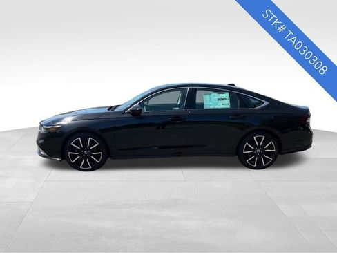 New 2026 Honda Accord Touring image 4