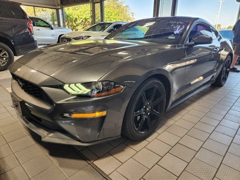 Used 2019 Ford Mustang Premium w/ Equipment Group 201A RWD image 3