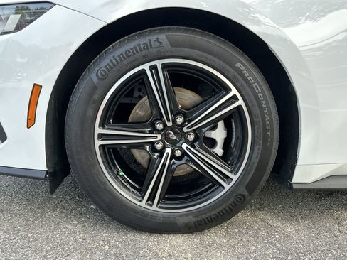 Used 2024 Ford Mustang Coupe RWD image 14