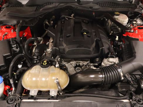 Used 2019 Ford Mustang Premium image 9