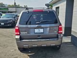 Used 2011 Ford Escape XLT w/ Convenience Group image 5
