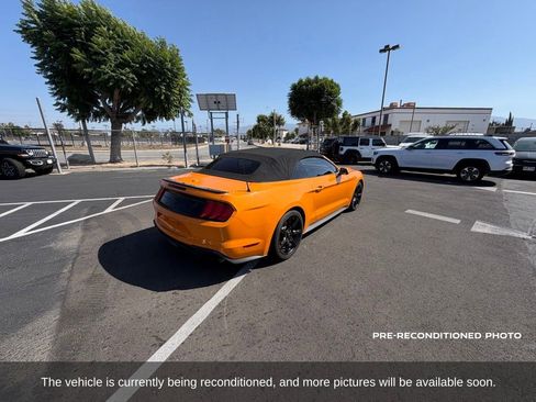 Used 2019 Ford Mustang Convertible w/ Equipment Group 101A RWD image 6