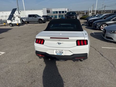 Used 2024 Ford Mustang Premium image 5