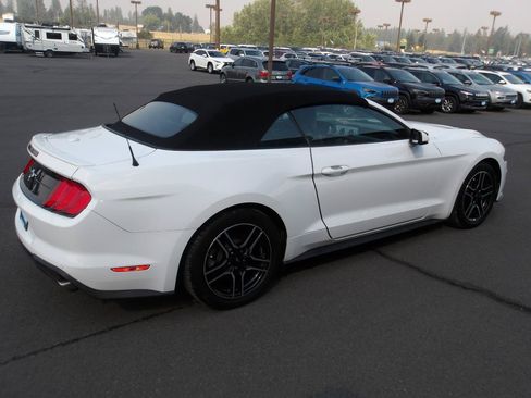 Used 2019 Ford Mustang Premium RWD image 5