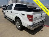 Used 2014 Ford F150 XLT w/ Equipment Group 302A Luxury image 5