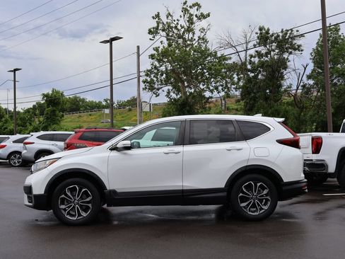 Used 2020 Honda CR-V EX-L image 4