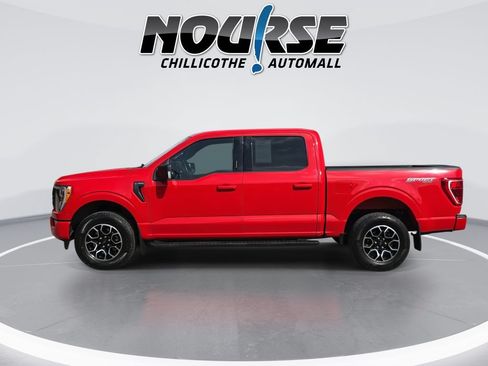 Used 2023 Ford F150 XLT w/ Equipment Group 302A High AWD/4WD image 5