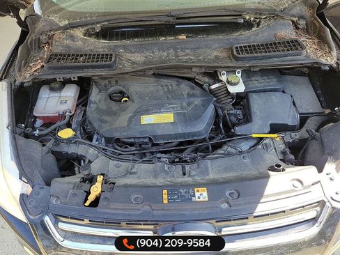 Used 2013 Ford Escape SEL image 5