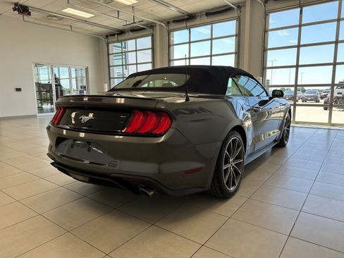 Used 2019 Ford Mustang Premium w/ Equipment Group 201A RWD image 5