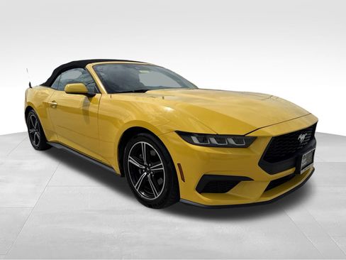 Used 2024 Ford Mustang Premium RWD image 3