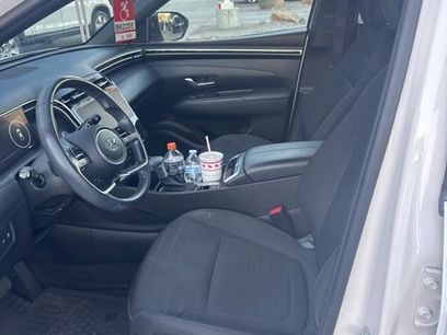 Used 2023 Hyundai Santa Cruz SEL Premium