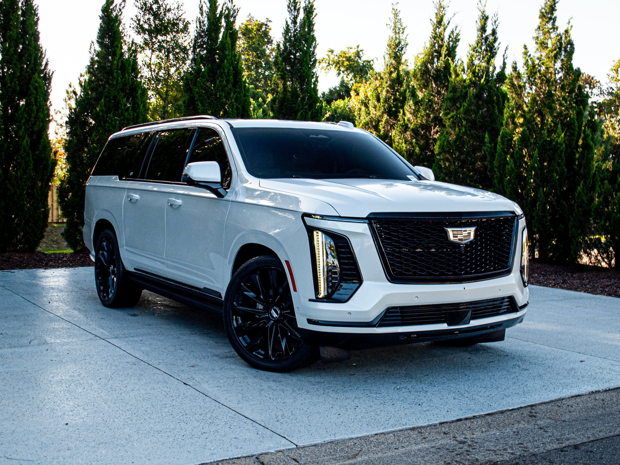 Used 2025 Cadillac Escalade ESV Sport Platinum w/ LPO, ONYX Package AWD/4WD image 2