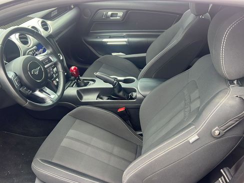 Used 2019 Ford Mustang GT w/ Equipment Group 301A RWD image 10